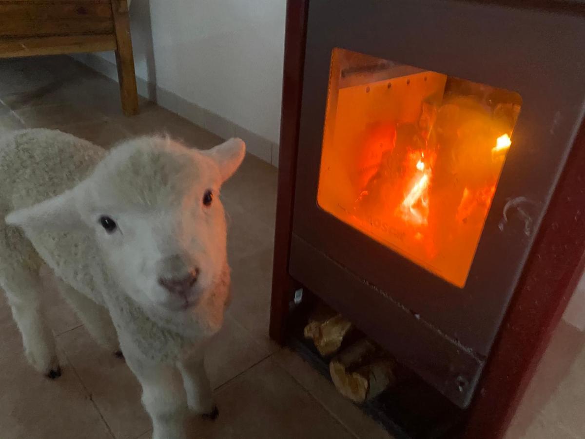 Estancia Bonanza Patagonian Lodge Experience エル・チャルテン エクステリア 写真